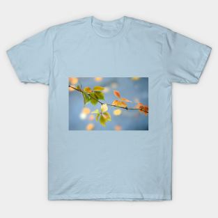 Colorful autumn leaves on nature background T-Shirt
